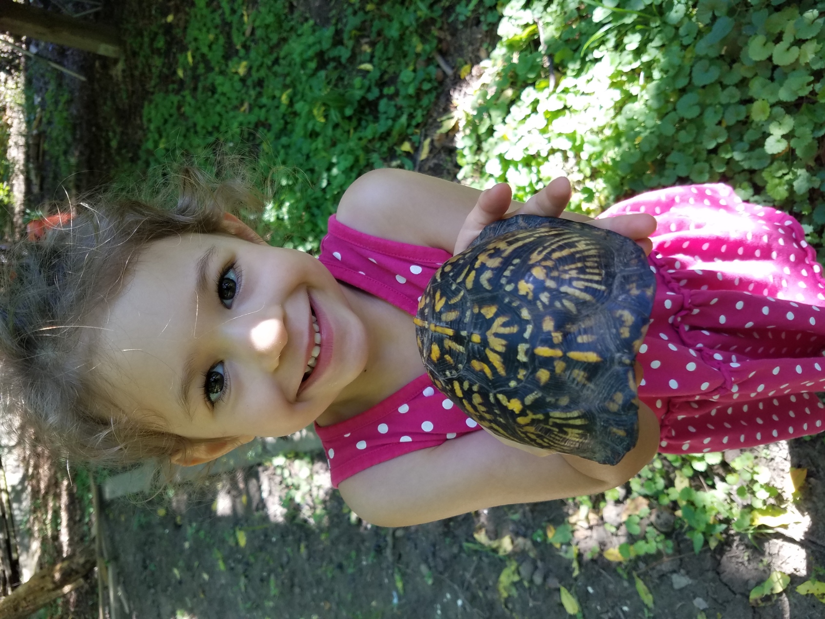 Photo of a young lady holding a Woodland Box Turtle